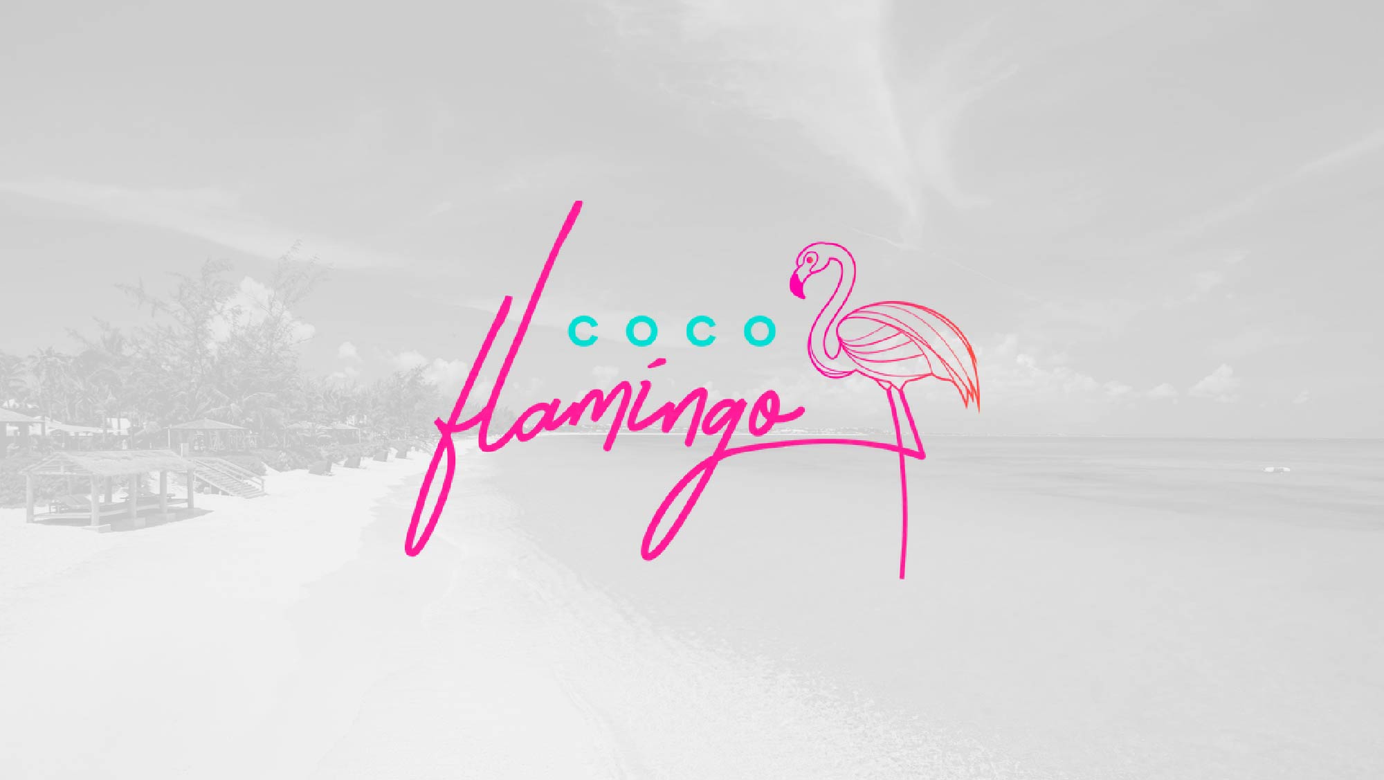 Presentación de logotipo Coco Flamingo